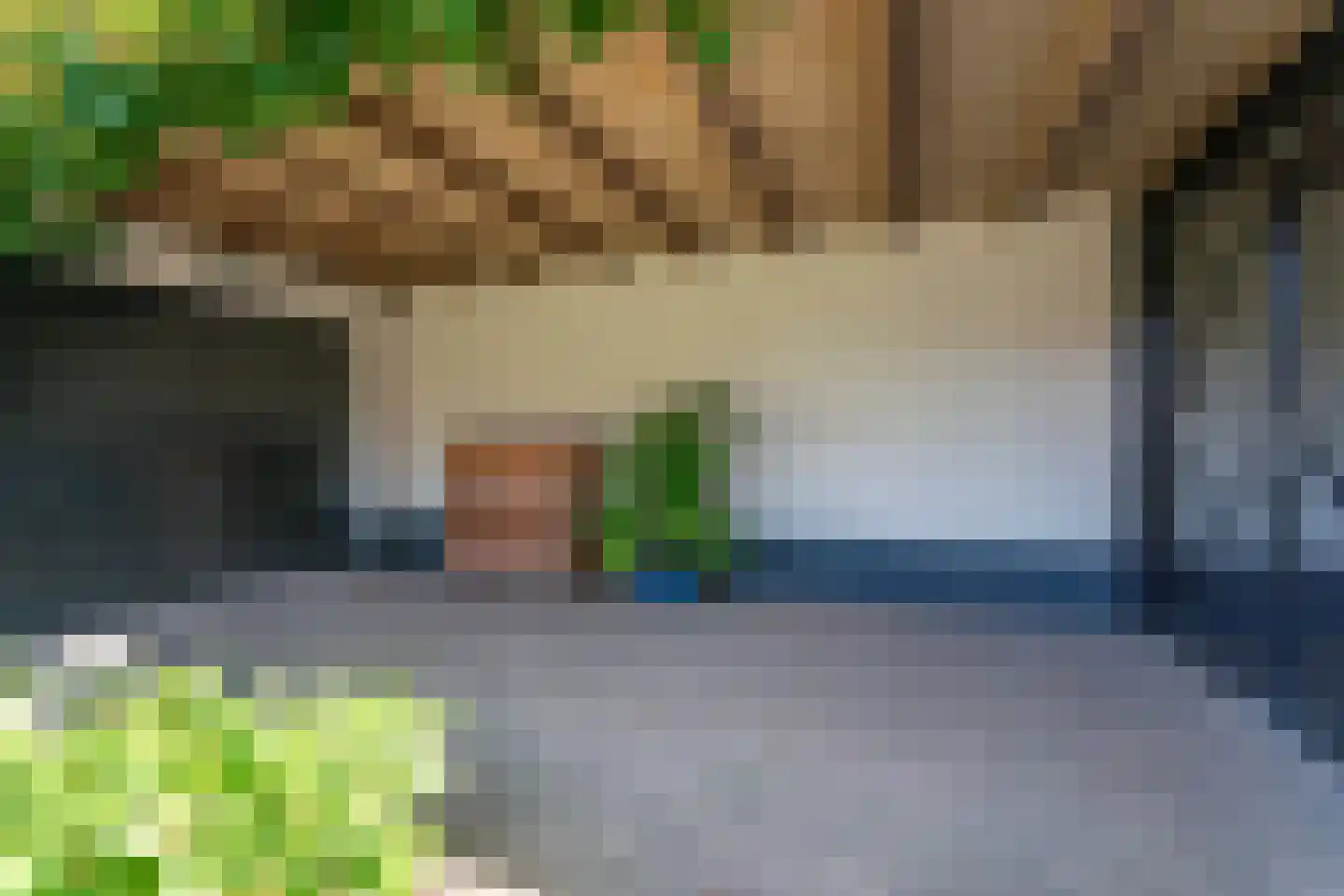 Rozenstraat 20 Siebengewald thumbnail 18