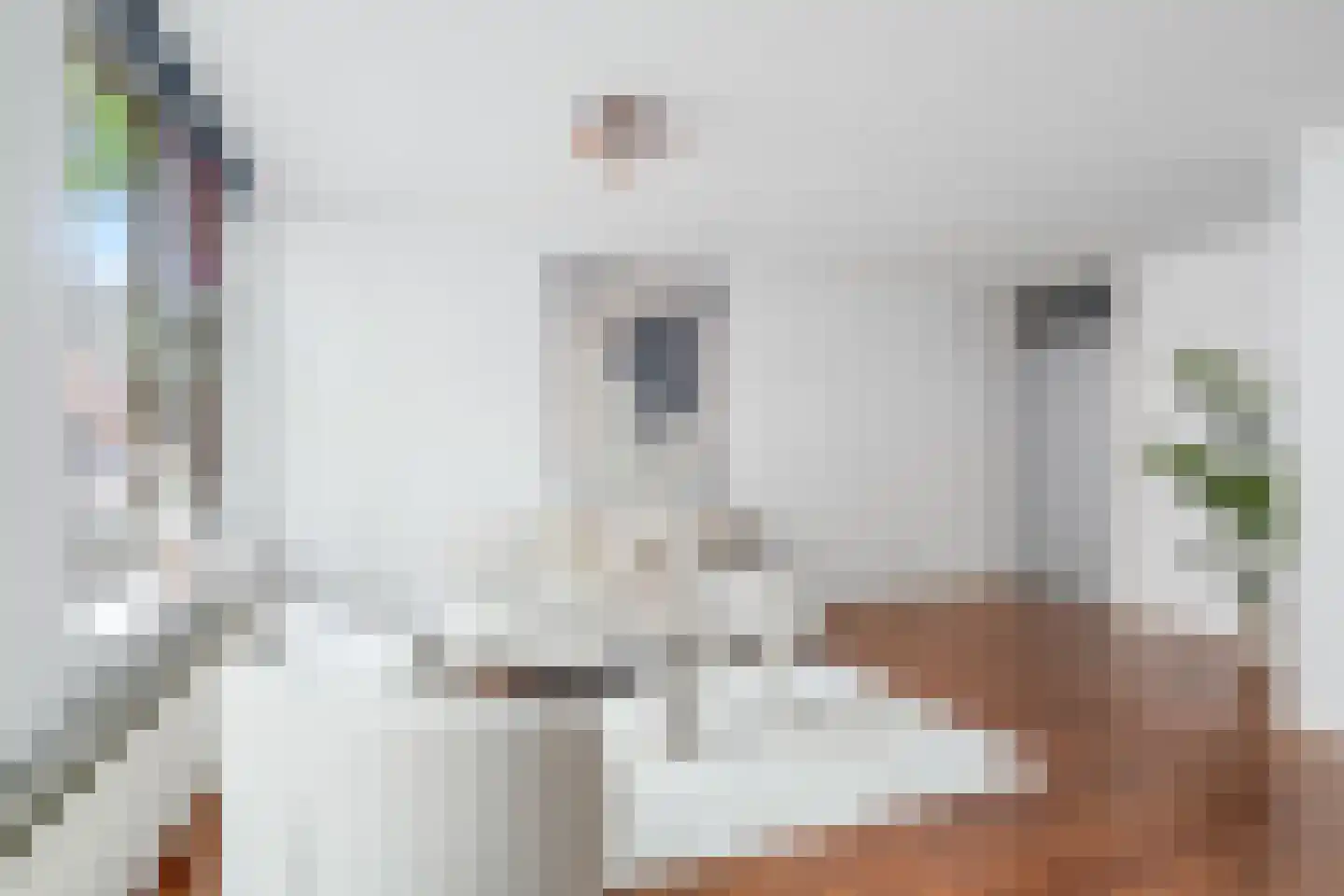 Rozenstraat 20 Utrecht thumbnail 14