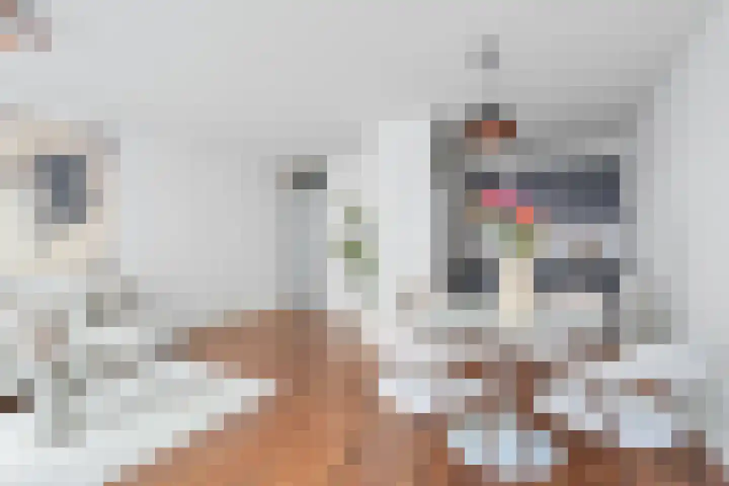 Rozenstraat 20 Utrecht thumbnail 17