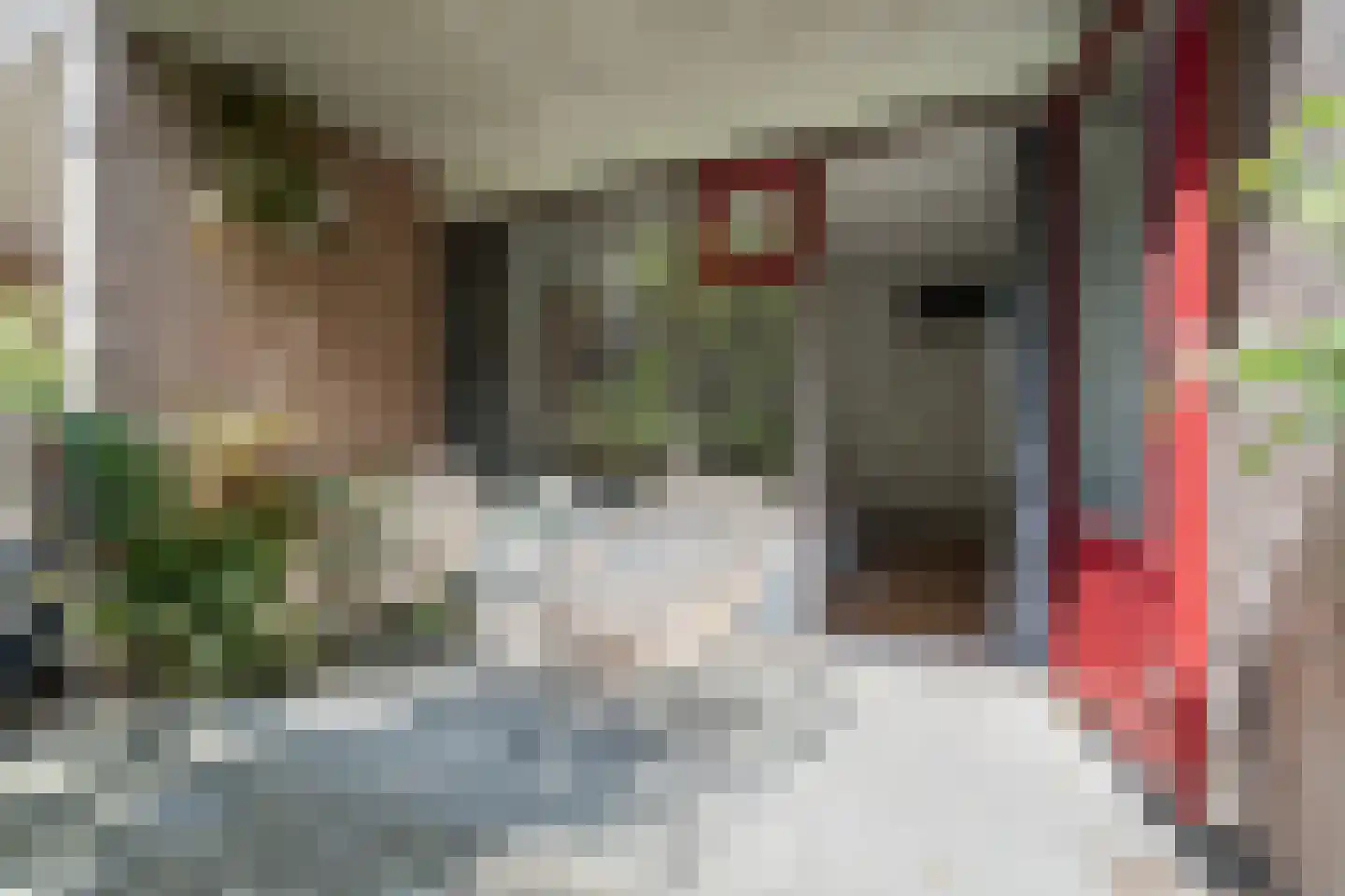Rozenstraat 20 Utrecht thumbnail 27