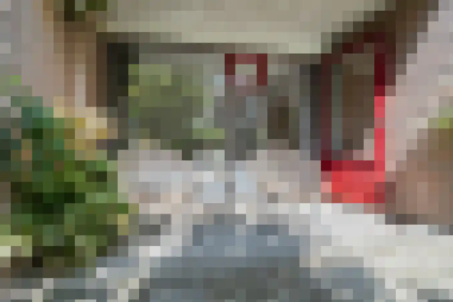 Rozenstraat 20 Utrecht thumbnail 28