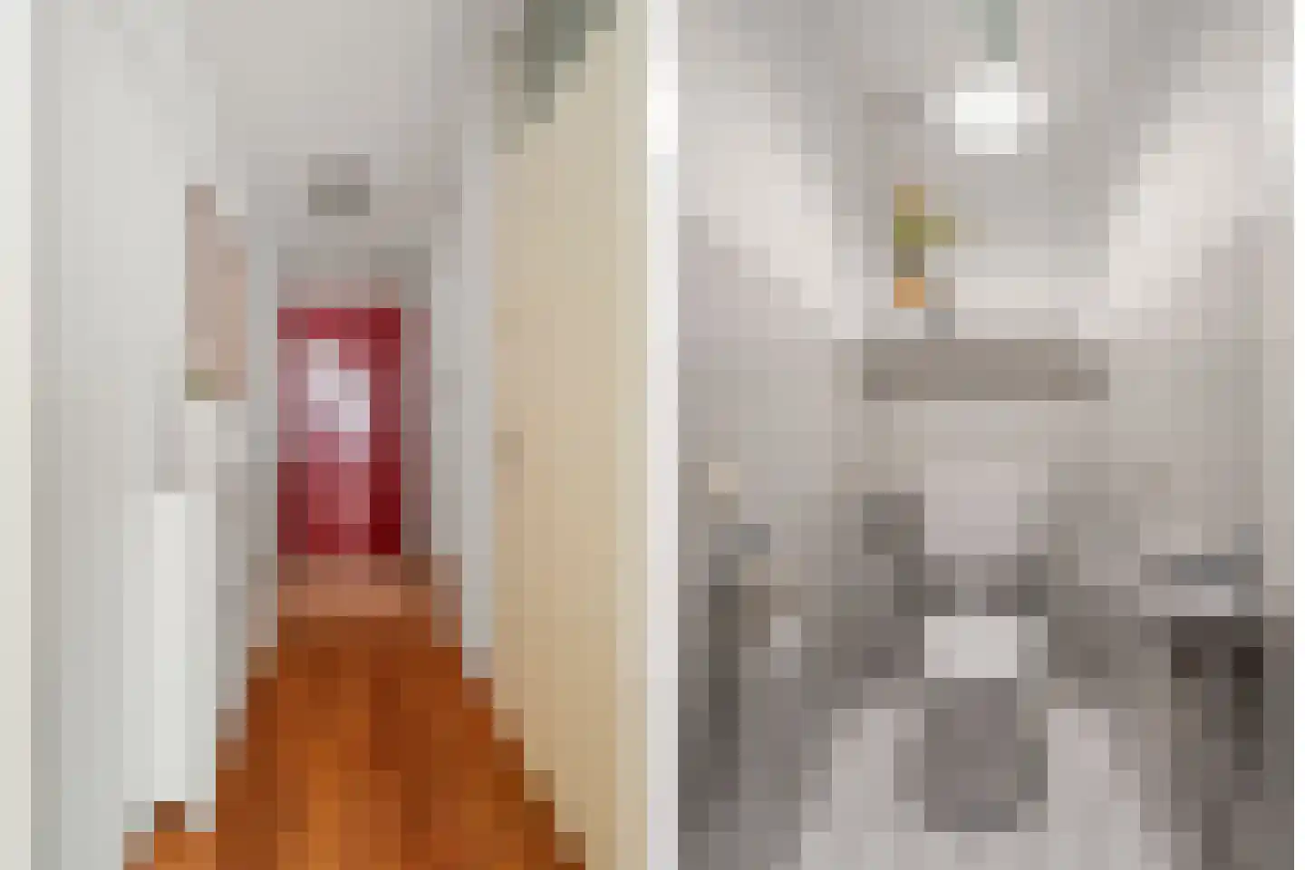 Rozenstraat 20 Utrecht thumbnail 8