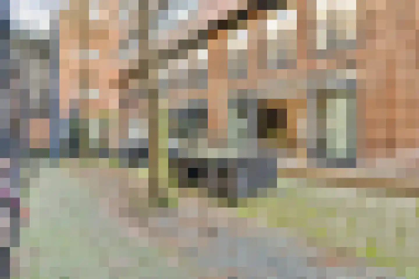 Rozenstraat 202 Amsterdam thumbnail 8