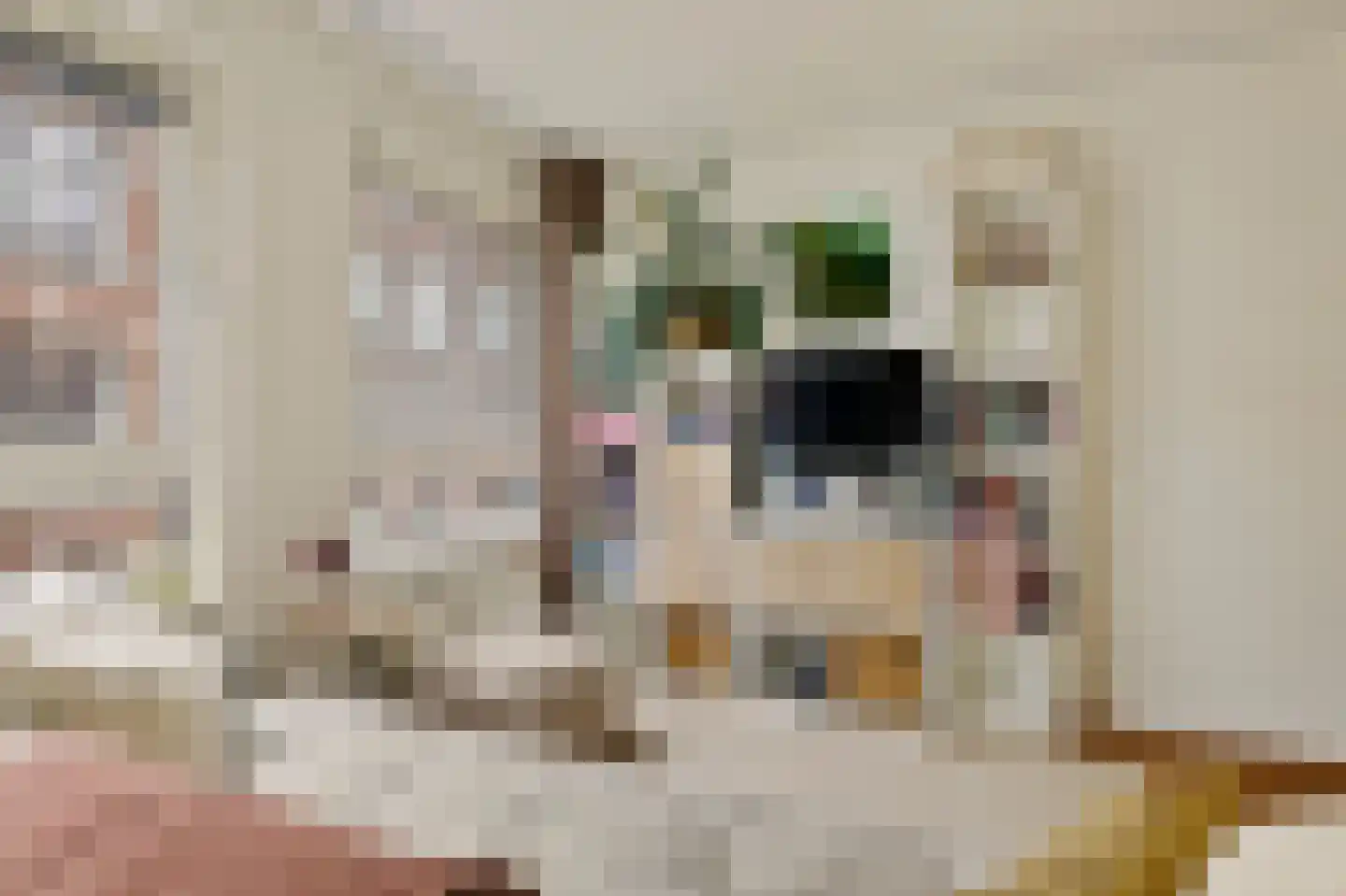 Rozenstraat 208 D Amsterdam thumbnail 7
