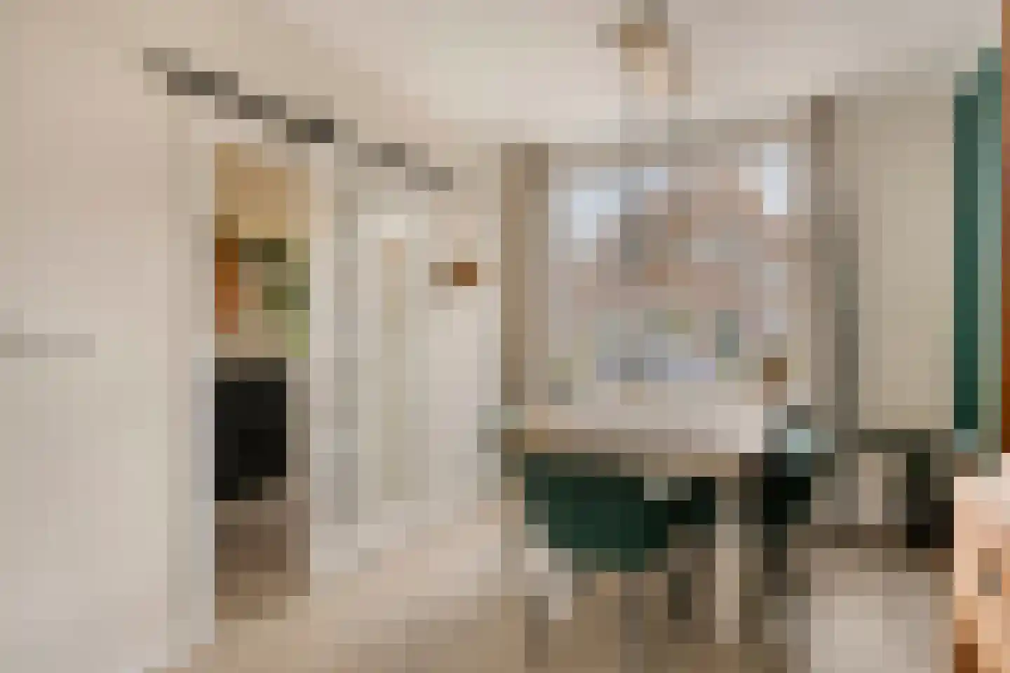 Rozenstraat 21 Alphen aan den Rijn thumbnail 11