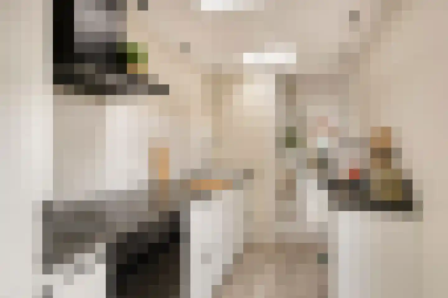 Rozenstraat 21 Alphen aan den Rijn thumbnail 16