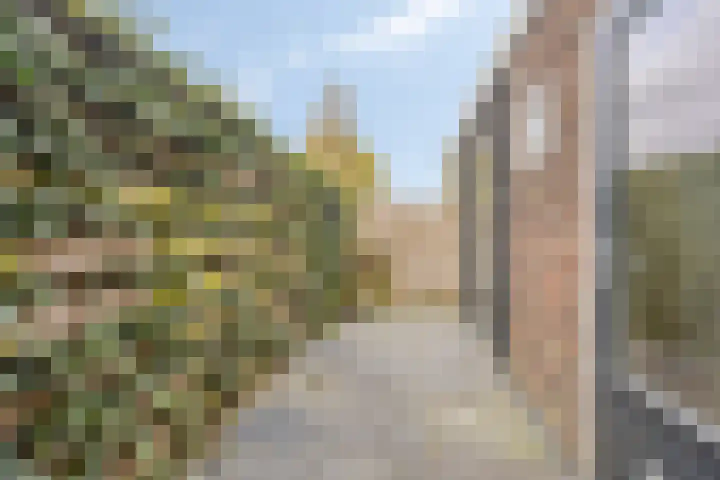 Rozenstraat 21 Alphen aan den Rijn thumbnail 29