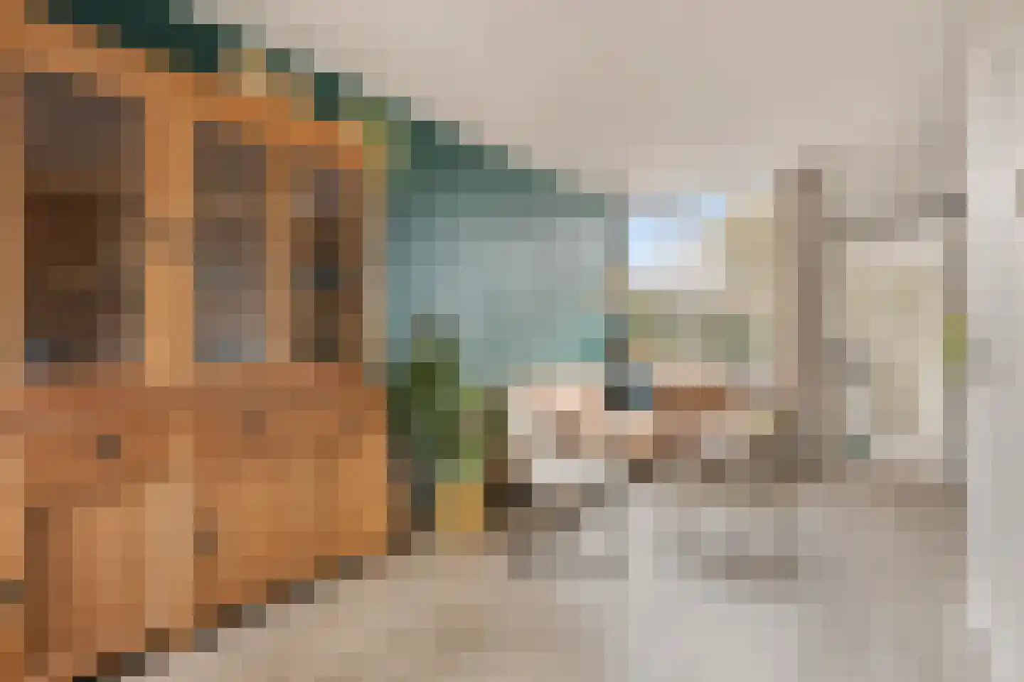 Rozenstraat 21 Alphen aan den Rijn thumbnail 4