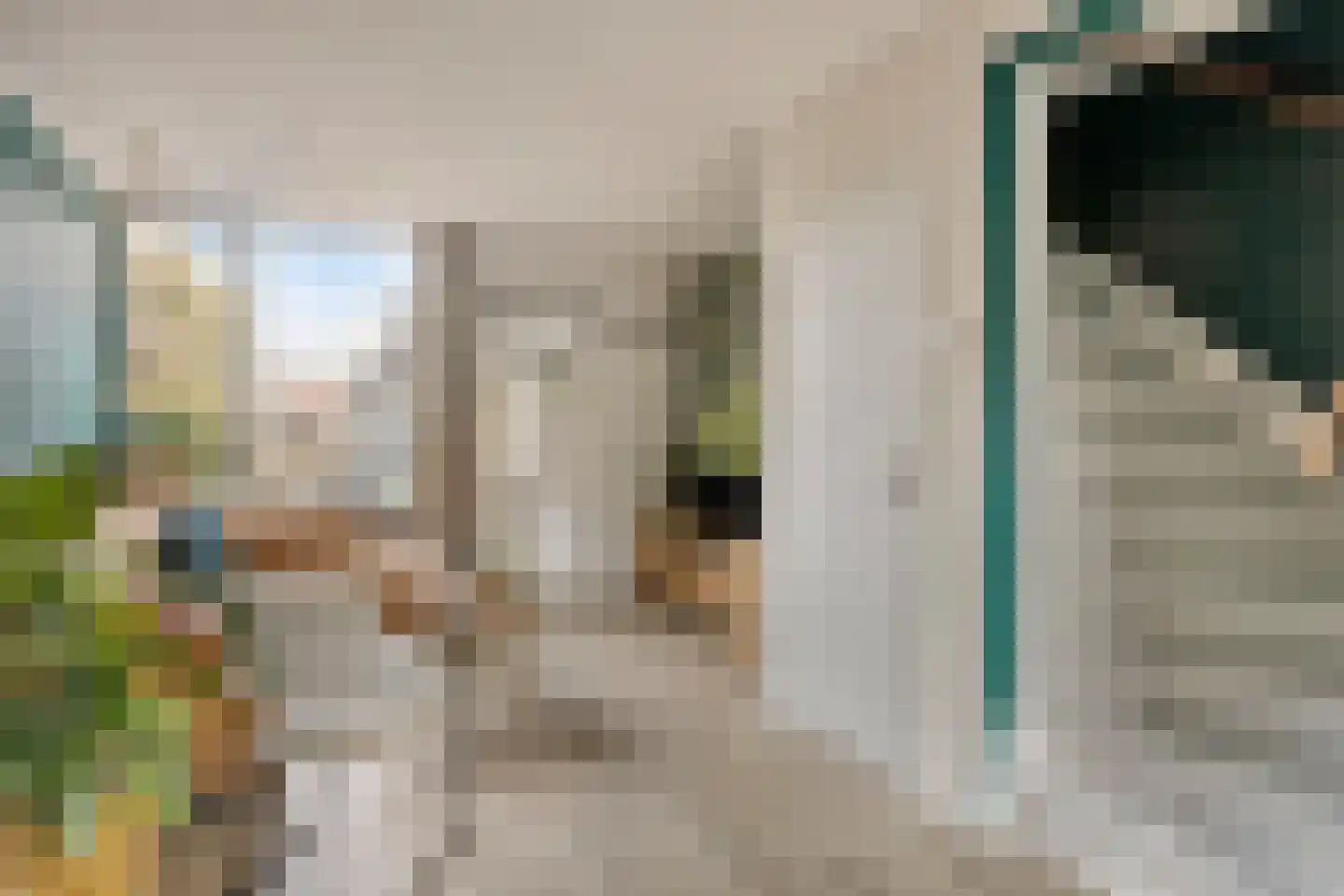 Rozenstraat 21 Alphen aan den Rijn thumbnail 5
