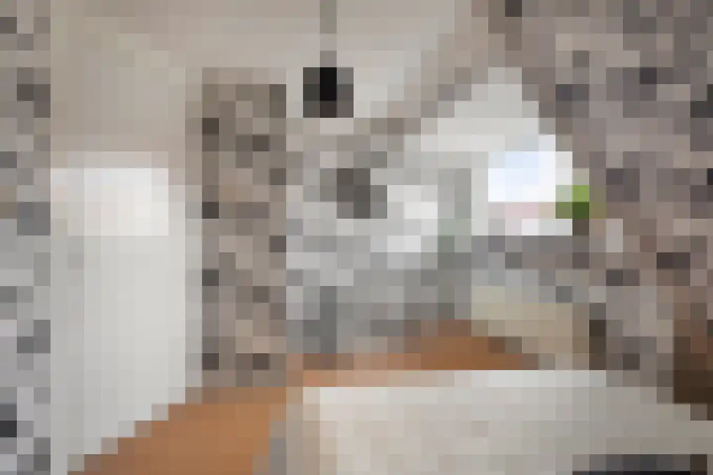 Rozenstraat 21 Den Helder thumbnail 16