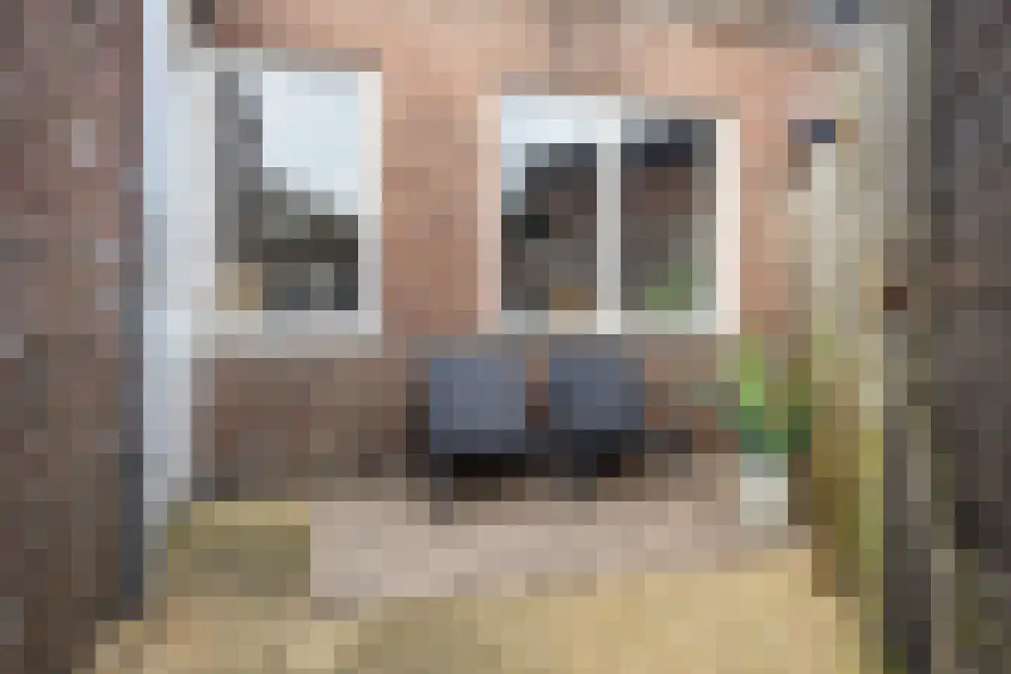 Rozenstraat 21 Den Helder thumbnail 24