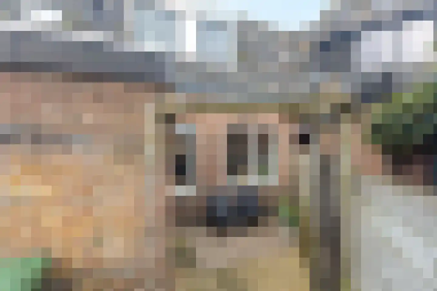 Rozenstraat 21 Den Helder thumbnail 4