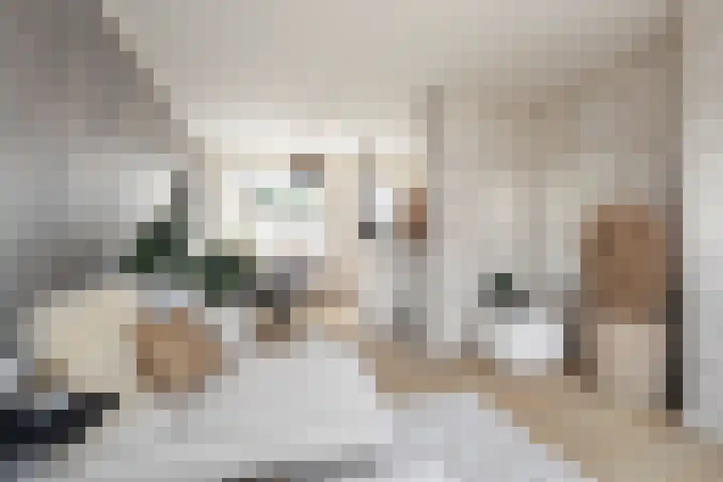 Rozenstraat 21 Den Helder thumbnail 7