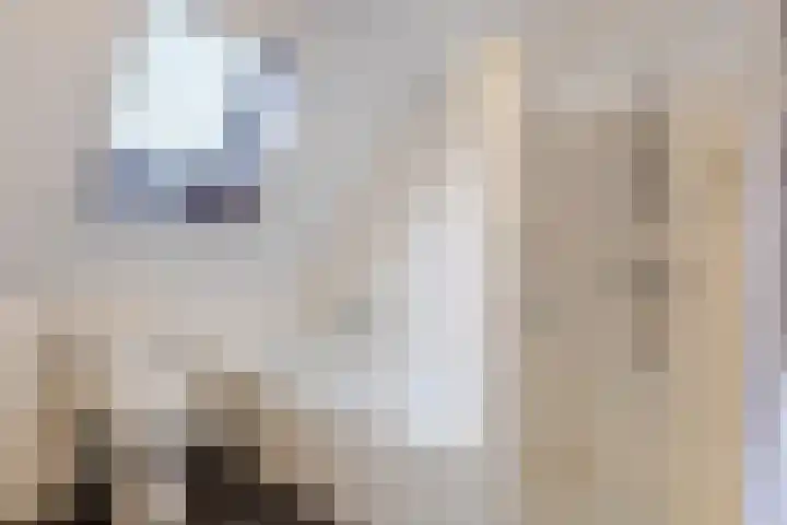 Rozenstraat 21 Papendrecht thumbnail 33