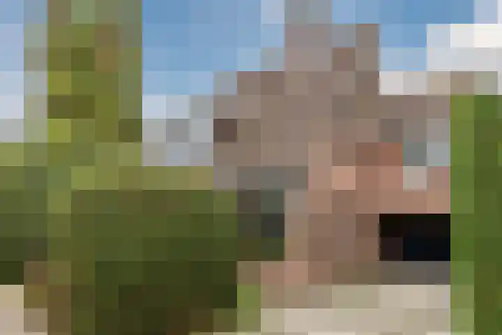 Rozenstraat 21 Papendrecht thumbnail 4