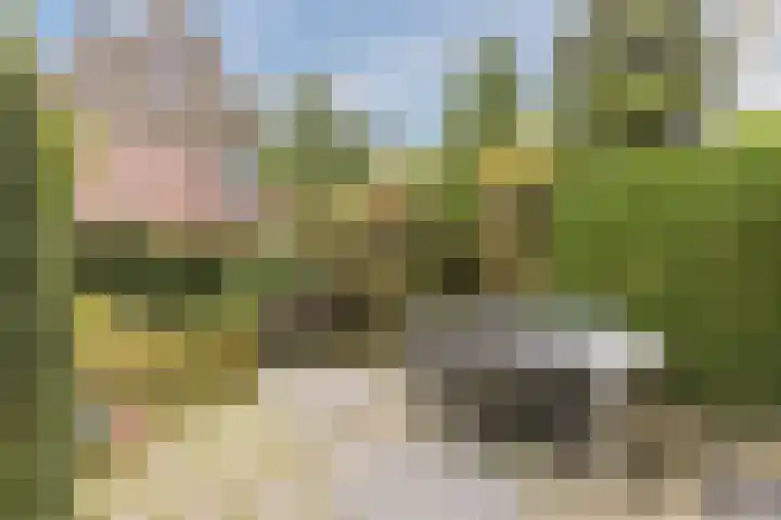 Rozenstraat 21 Papendrecht thumbnail 43