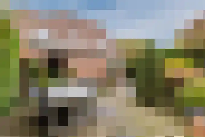Rozenstraat 21 Papendrecht thumbnail 47