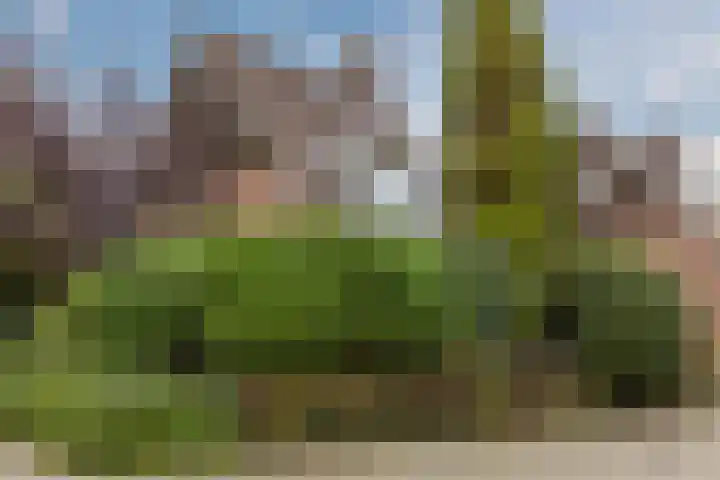 Rozenstraat 21 Papendrecht thumbnail 51