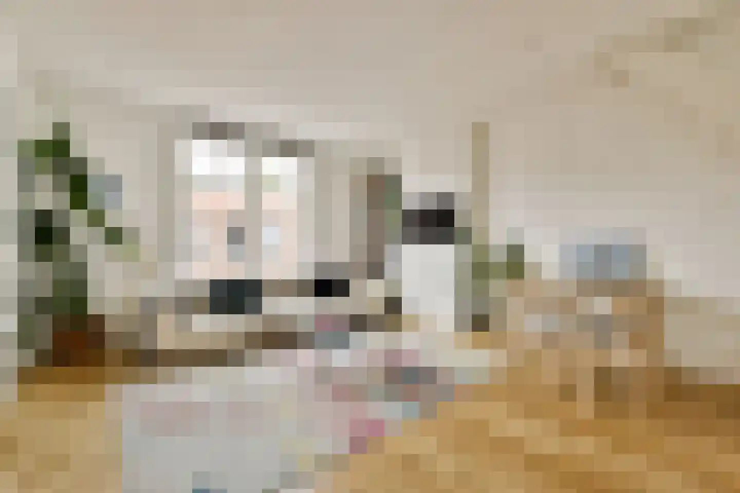 Rozenstraat 213 1LV Amsterdam thumbnail 5