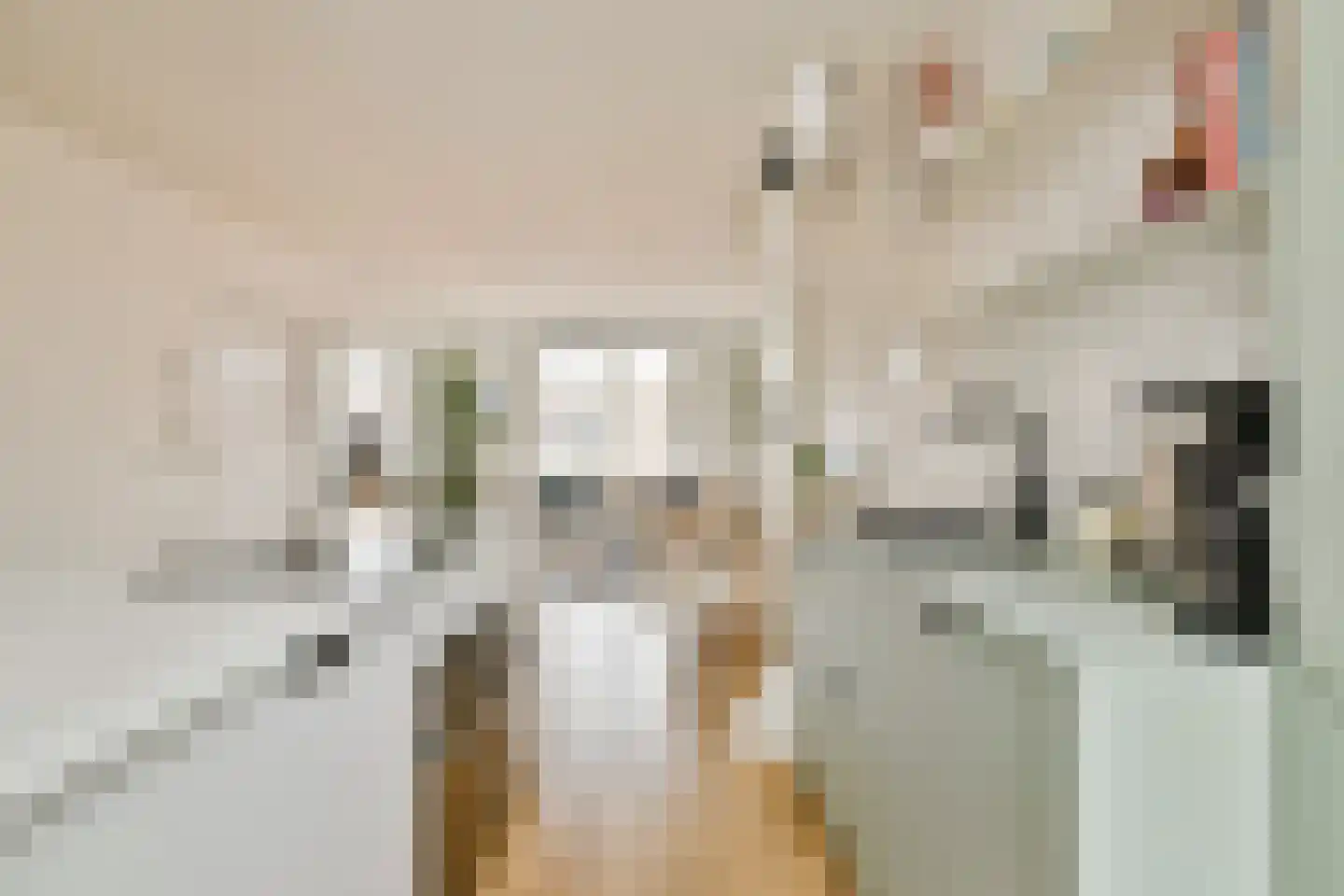 Rozenstraat 213 1LV Amsterdam thumbnail 6