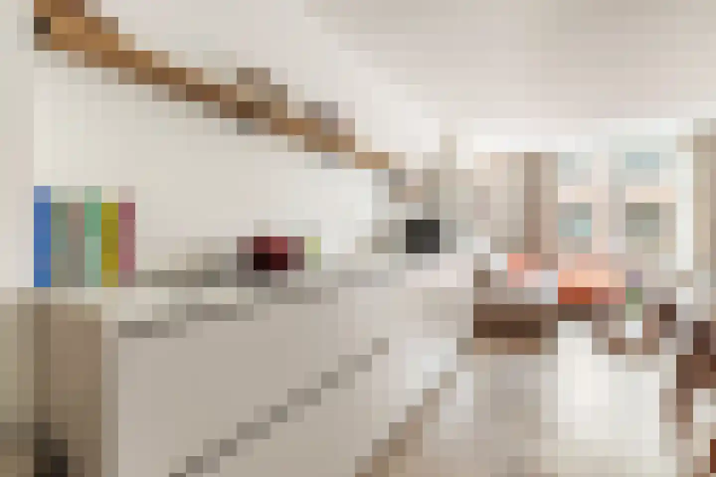 Rozenstraat 213 2RV Amsterdam thumbnail 10