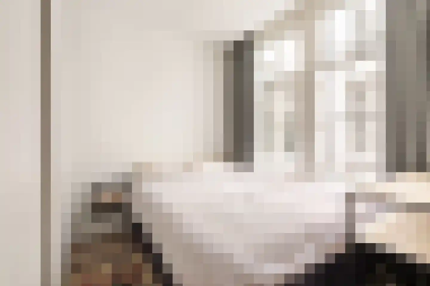 Rozenstraat 213 2RV Amsterdam thumbnail 12
