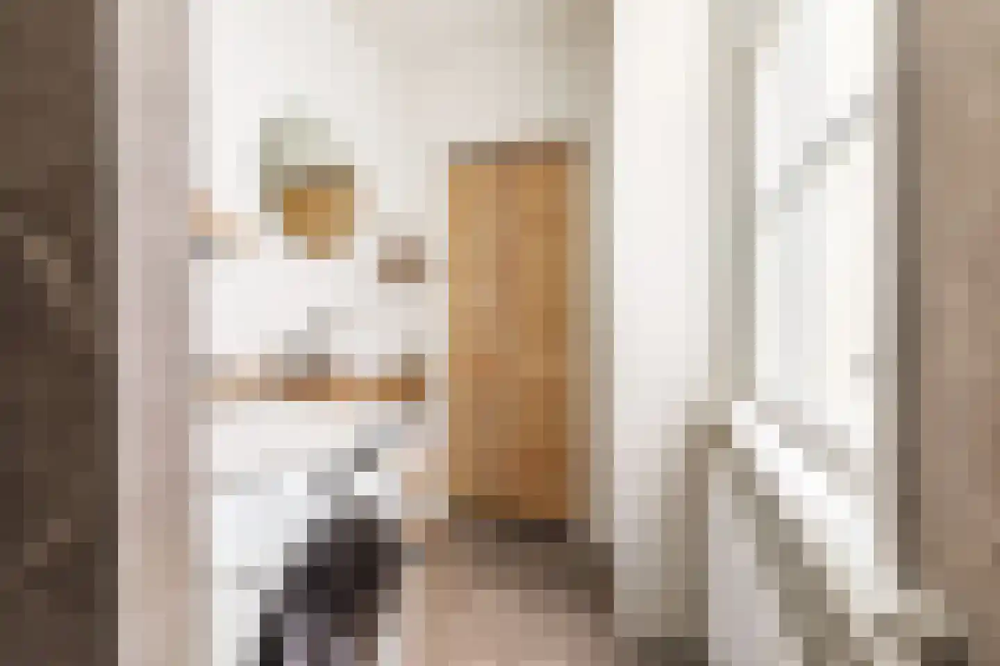 Rozenstraat 213 2RV Amsterdam thumbnail 17