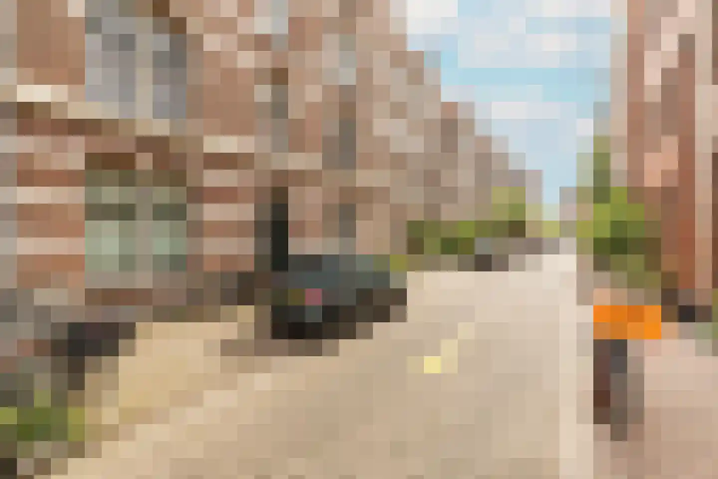 Rozenstraat 213 2RV Amsterdam thumbnail 19