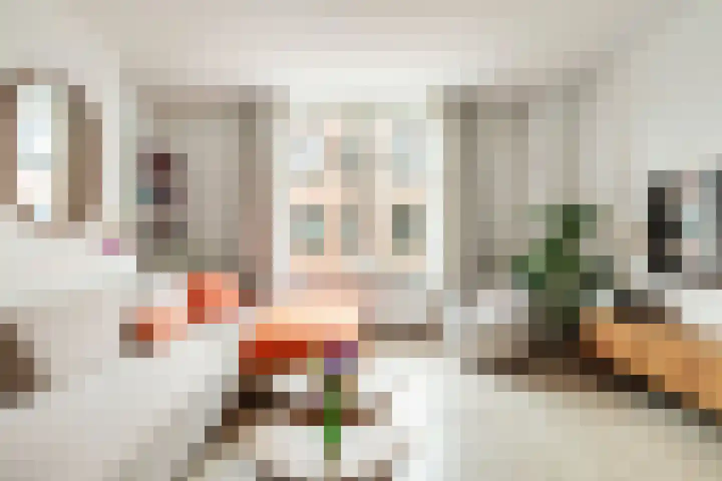 Rozenstraat 213 2RV Amsterdam thumbnail 5