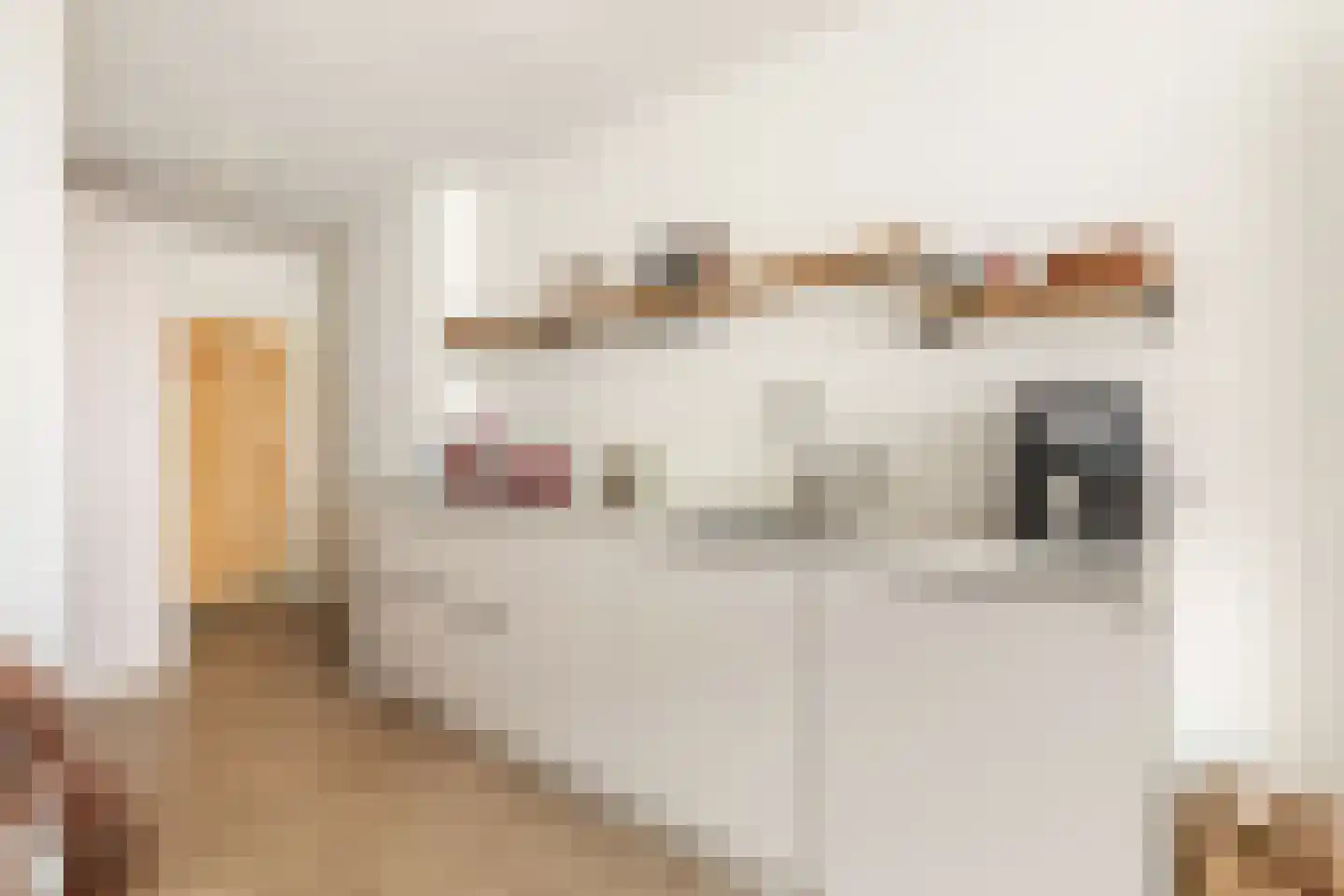 Rozenstraat 213 2RV Amsterdam thumbnail 9