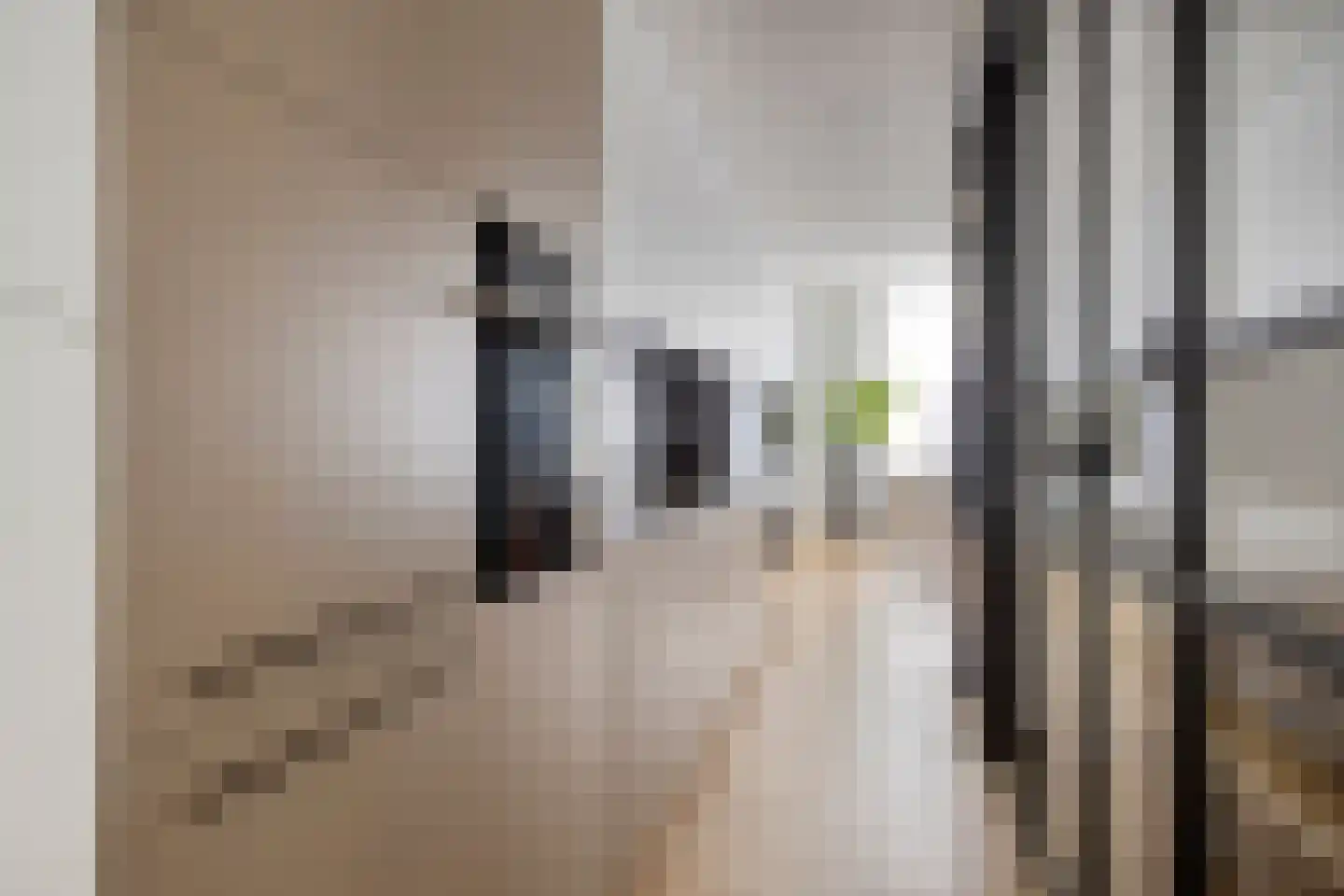 Rozenstraat 213 3LA Amsterdam thumbnail 14