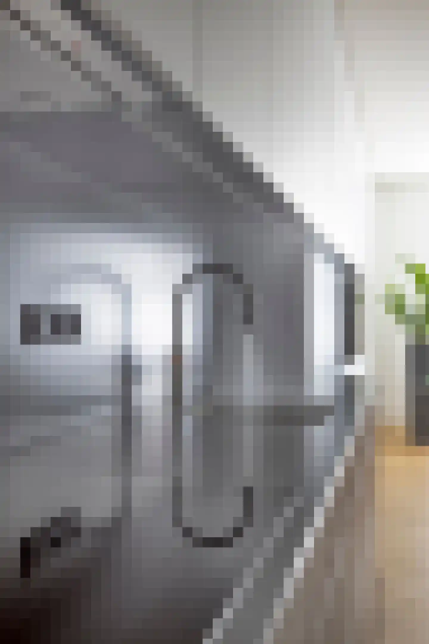 Rozenstraat 213 3LA Amsterdam thumbnail 15