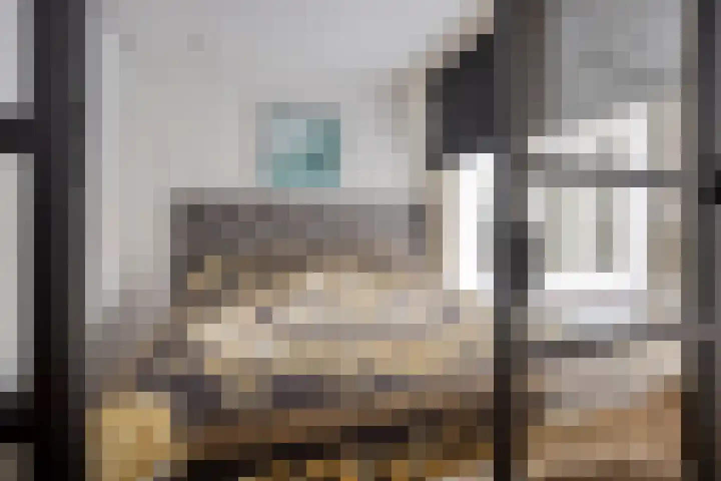 Rozenstraat 213 3LA Amsterdam thumbnail 4