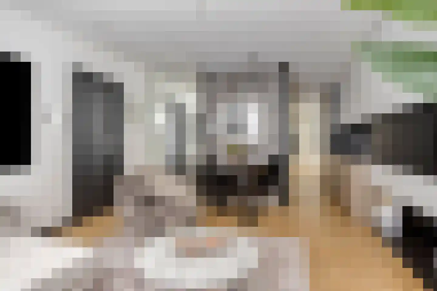 Rozenstraat 213 3LA Amsterdam thumbnail 9