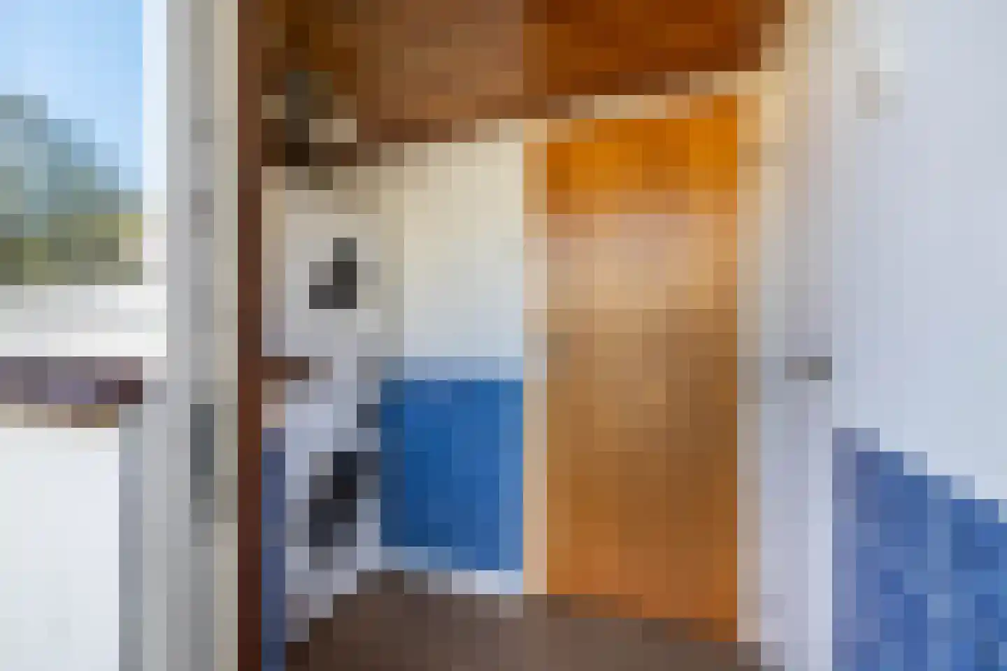 Rozenstraat 22 Almelo thumbnail 16