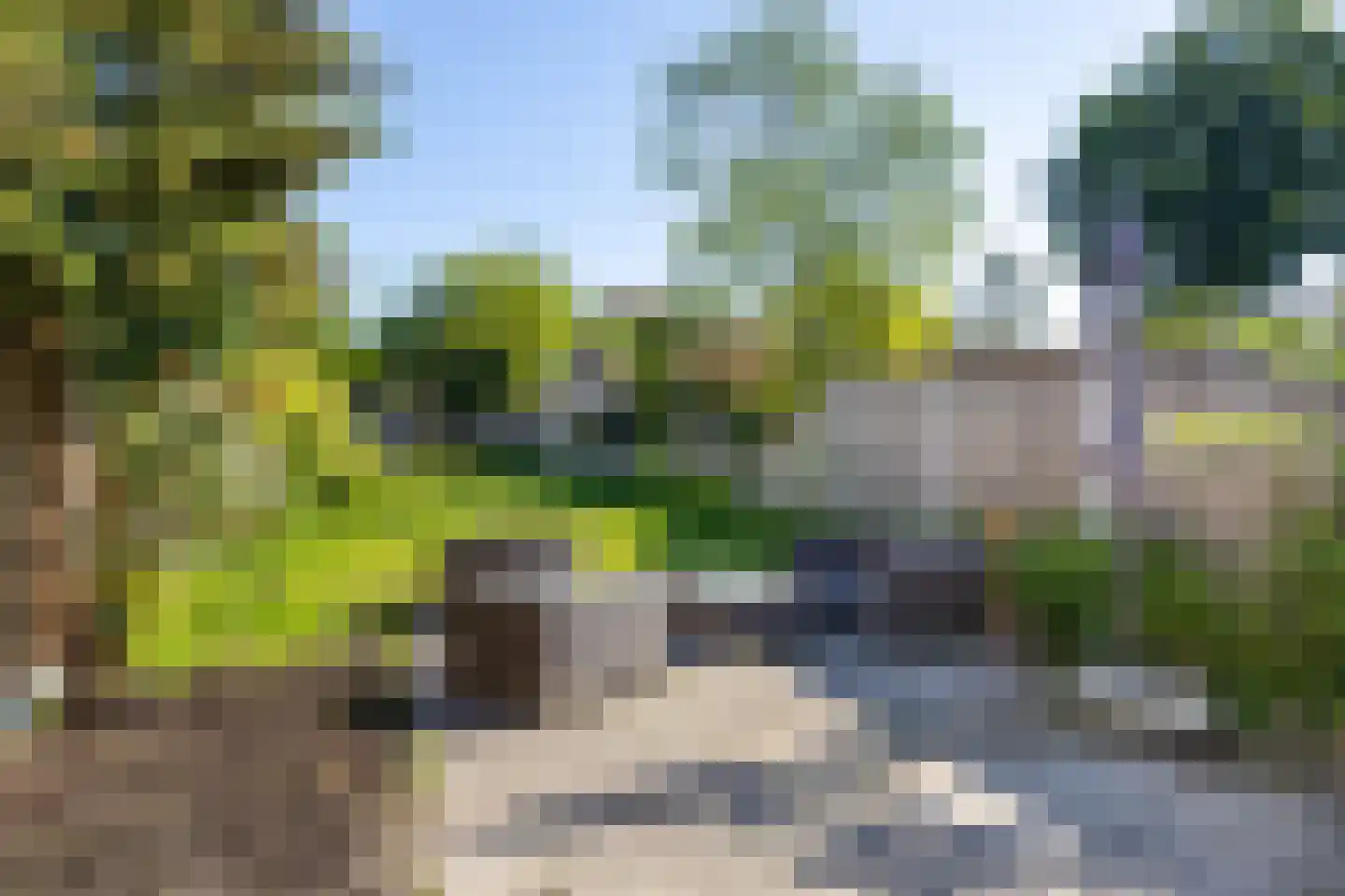 Rozenstraat 22 Almelo thumbnail 25