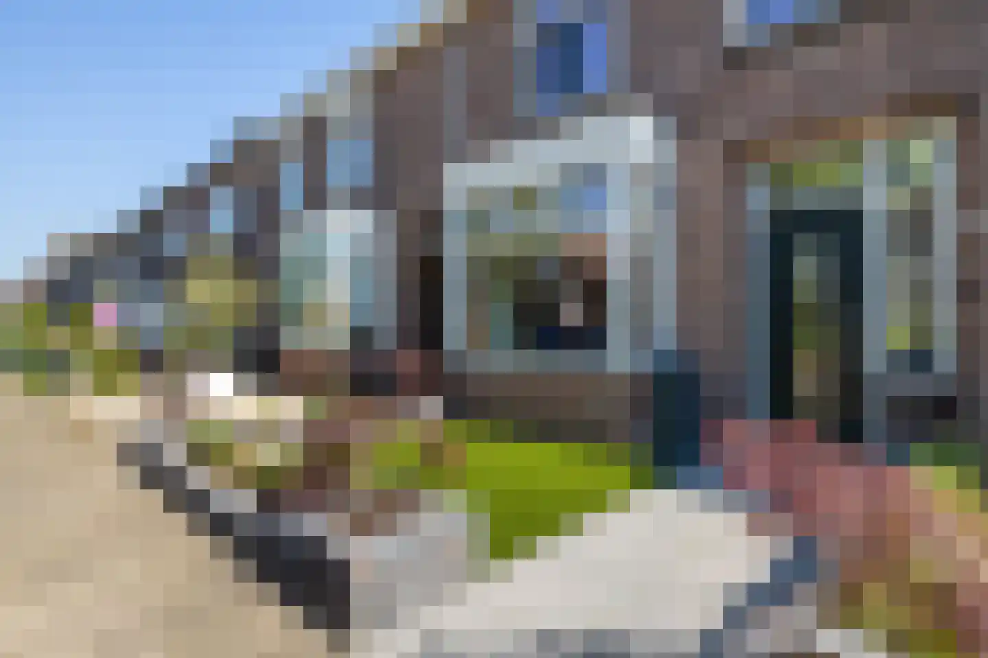 Rozenstraat 22 Almelo thumbnail 29