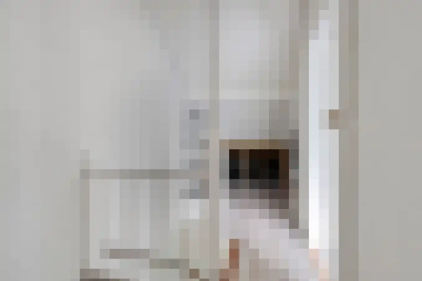 Rozenstraat 22 Bovensmilde thumbnail 38