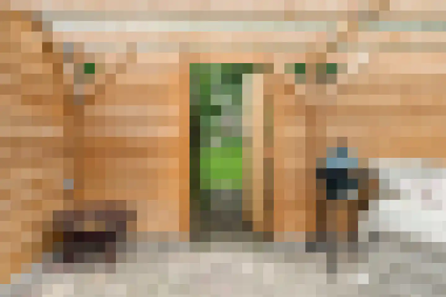 Rozenstraat 22 Bovensmilde thumbnail 47