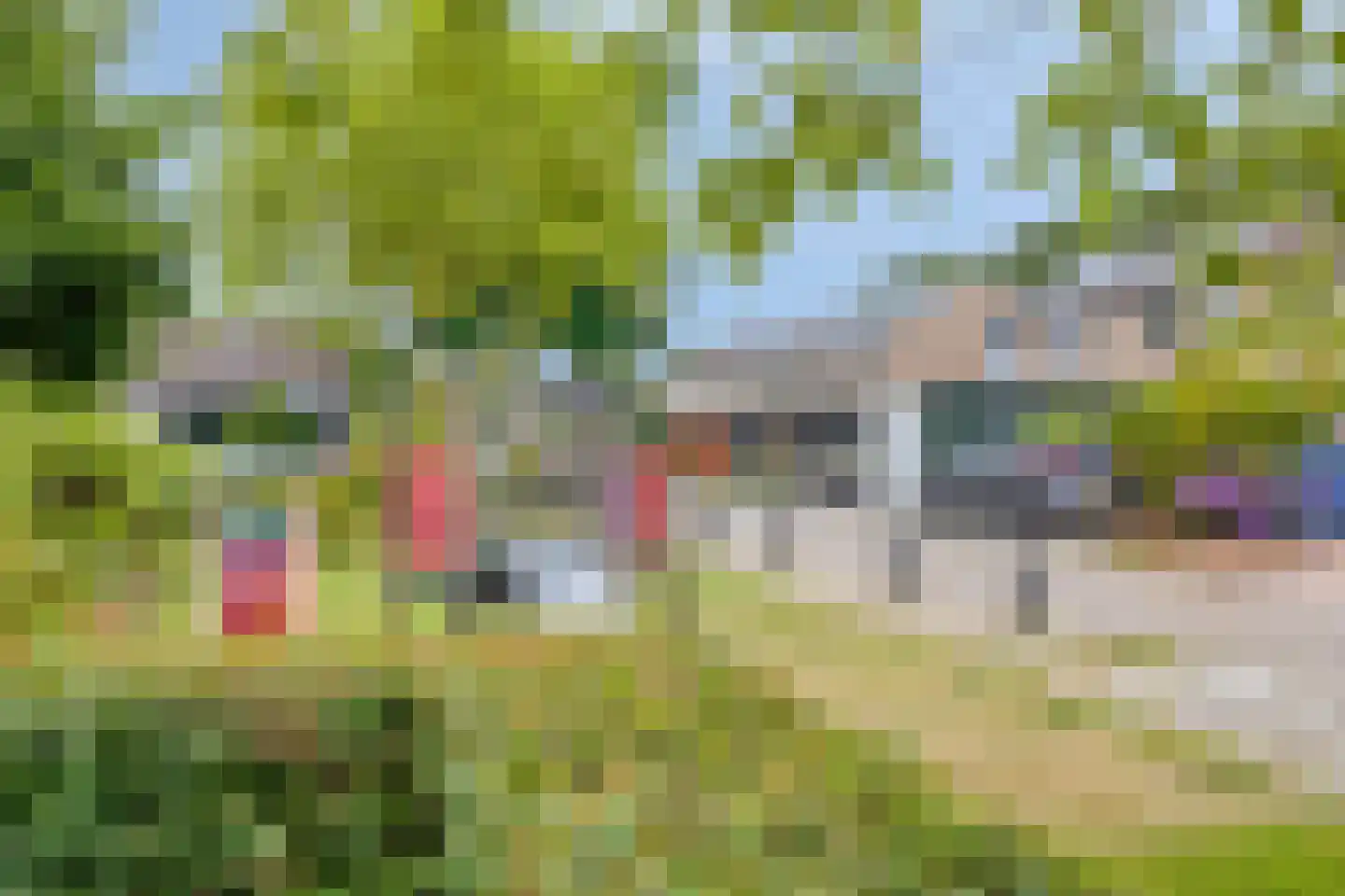 Rozenstraat 22 Bovensmilde thumbnail 56