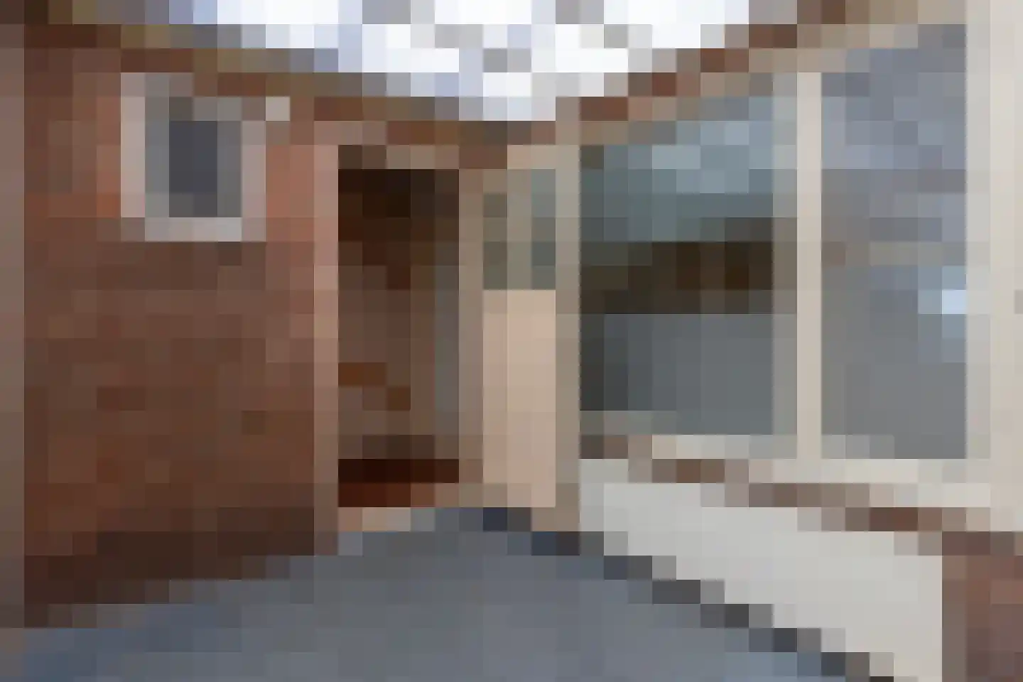 Rozenstraat 22 Huizen thumbnail 13