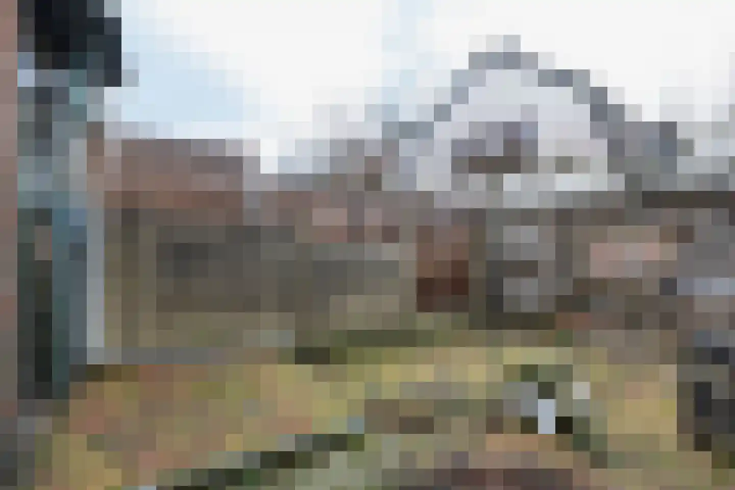 Rozenstraat 22 Huizen thumbnail 22