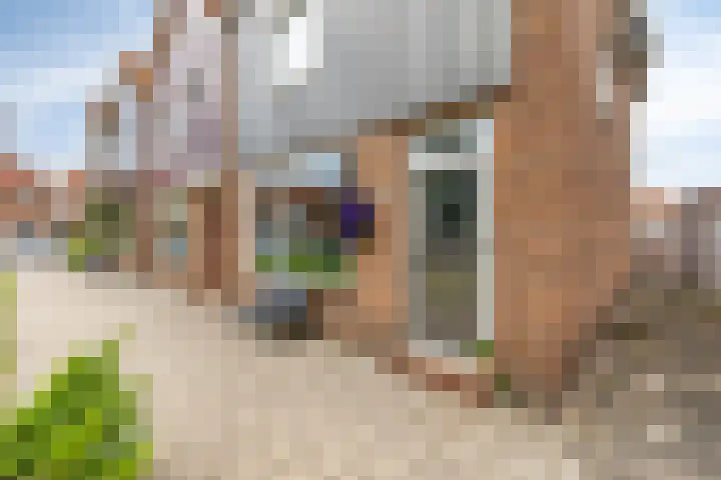 Rozenstraat 22 Volendam thumbnail 30