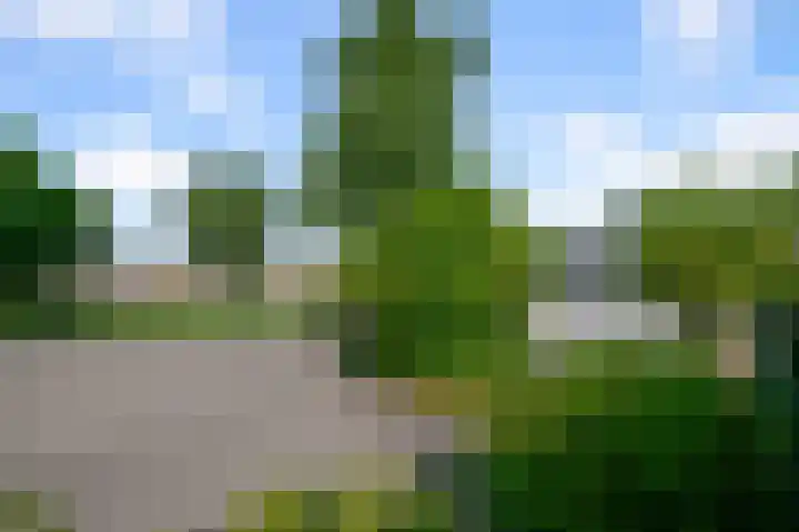 Rozenstraat 23 Alphen aan den Rijn thumbnail 31