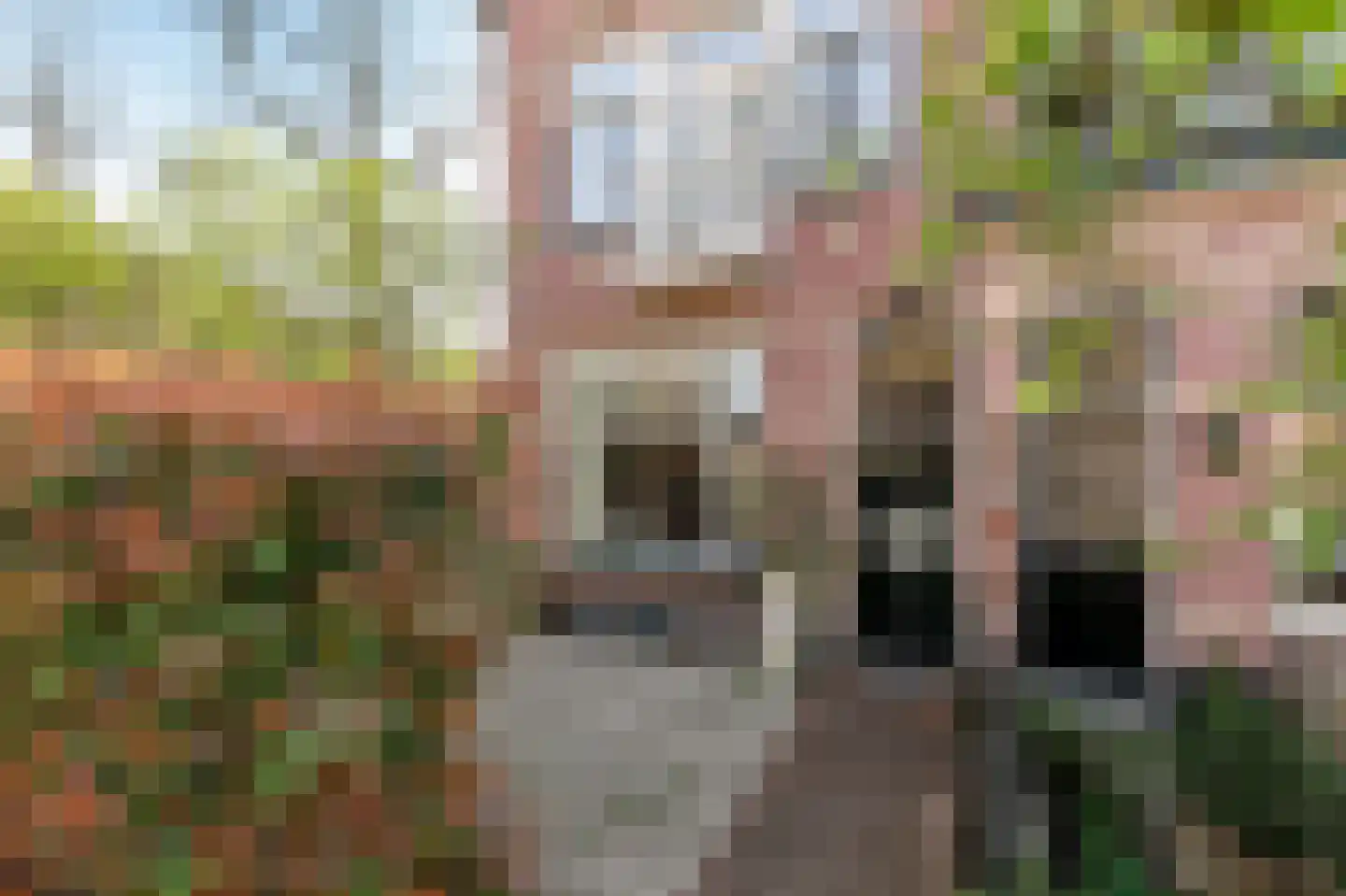 Rozenstraat 23 Zeist thumbnail 10