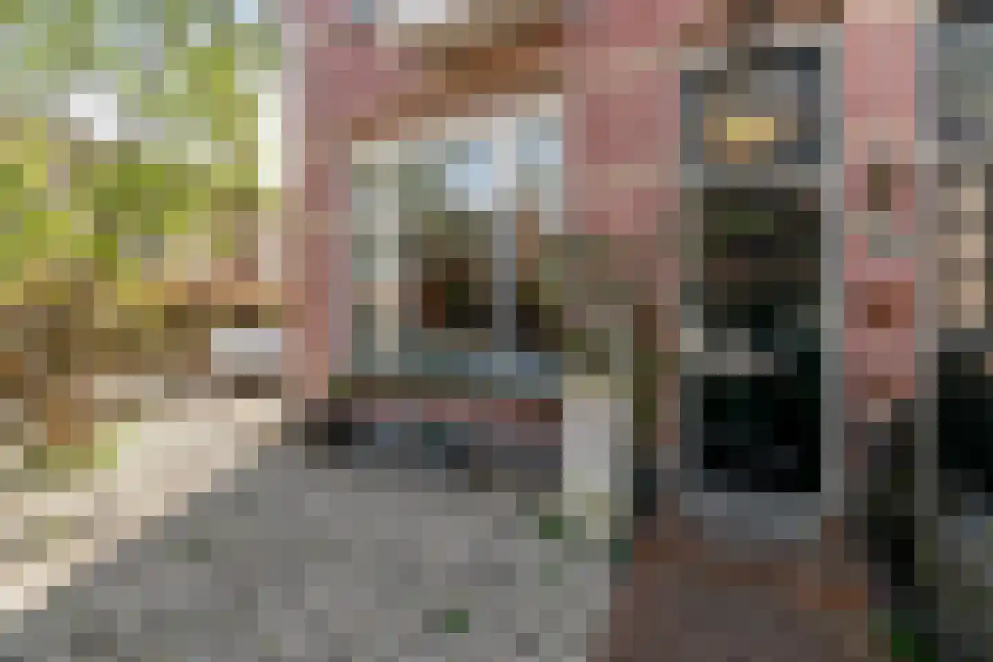 Rozenstraat 23 Zeist thumbnail 12