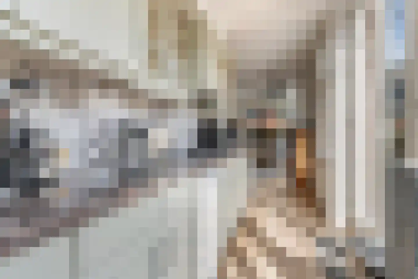 Rozenstraat 23 Zeist thumbnail 22