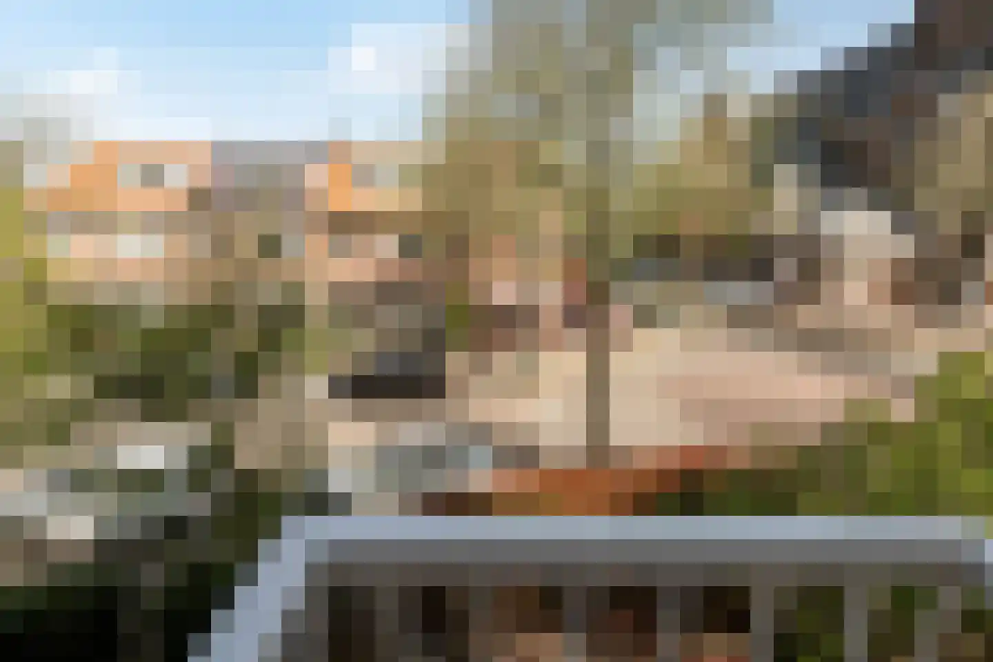 Rozenstraat 23 Zeist thumbnail 29