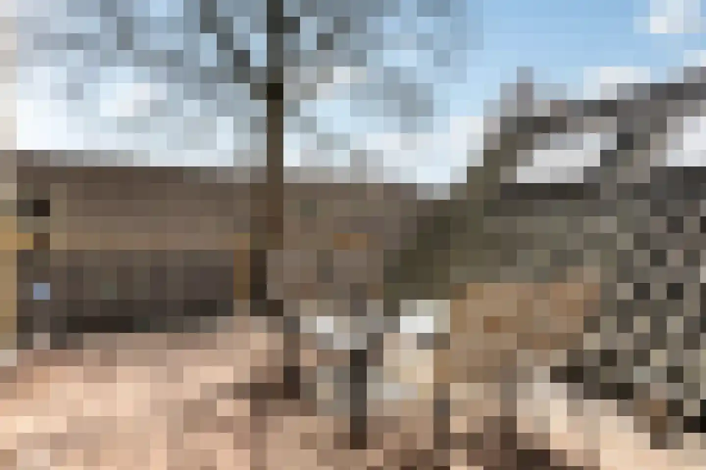 Rozenstraat 23 Zeist thumbnail 32