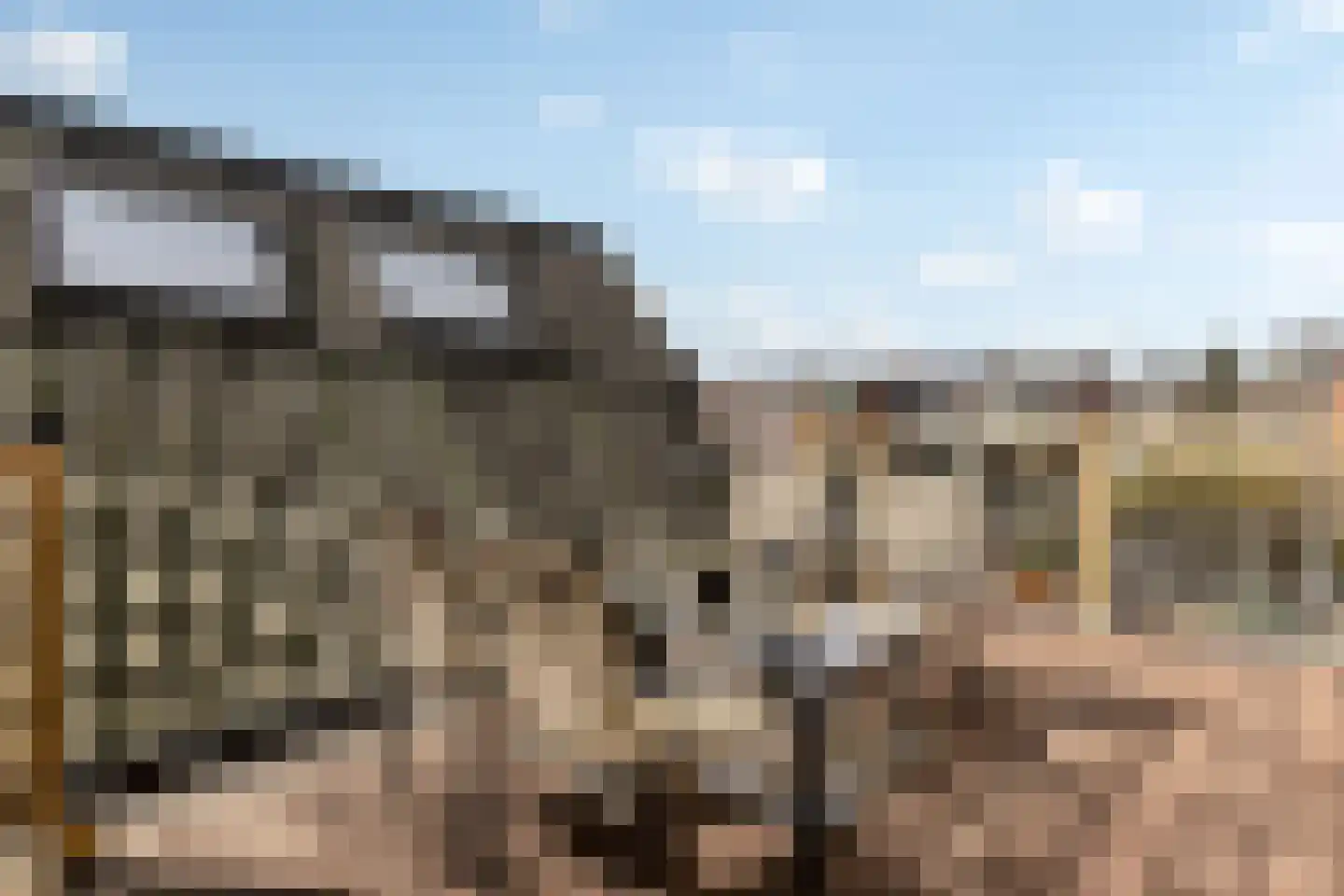 Rozenstraat 23 Zeist thumbnail 34
